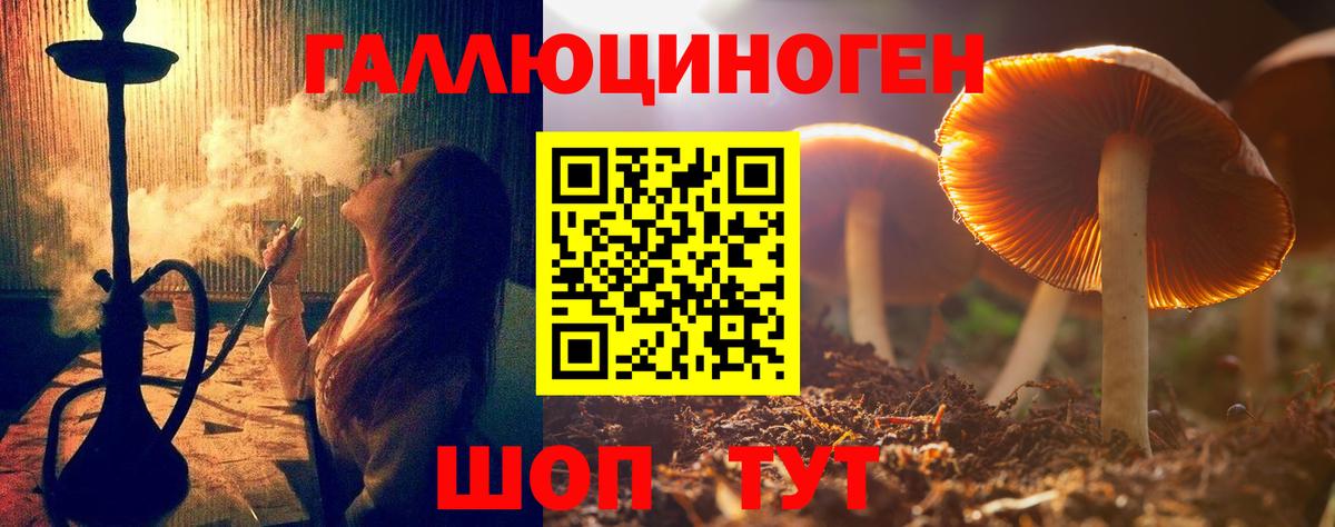 Псилоцибиновые грибы мухоморы Балтийск